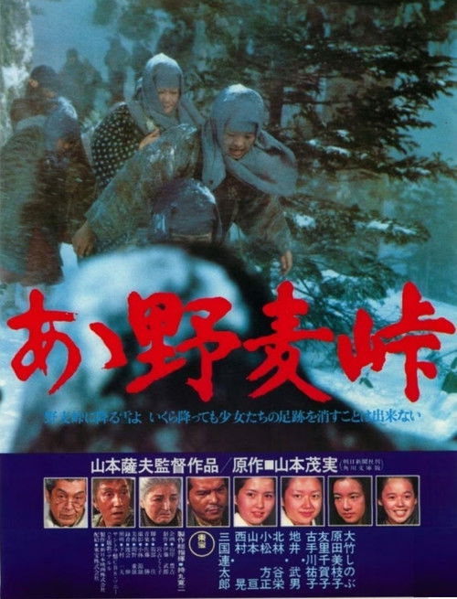 Oh! The Nomugi Pass