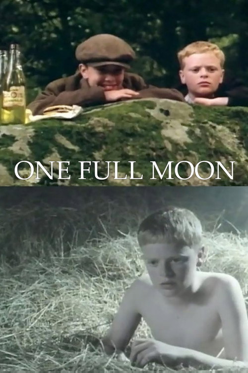 One Moonlit Night