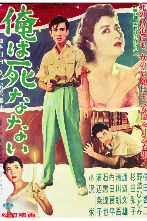 Ore wa shinanai