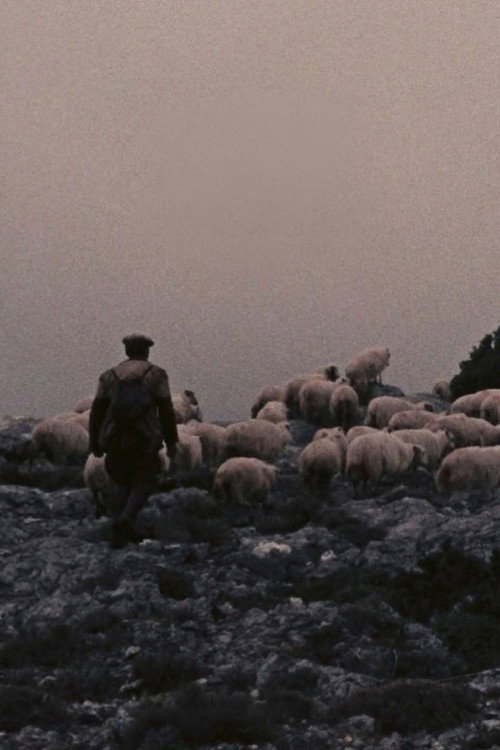 Orgosolo's Shepherds