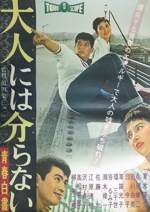 Otona niwa wakaranai: Seishun hakusho