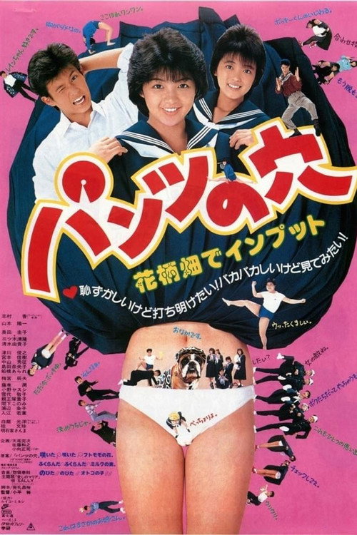 Pants no ana: Hanagarabatake de input