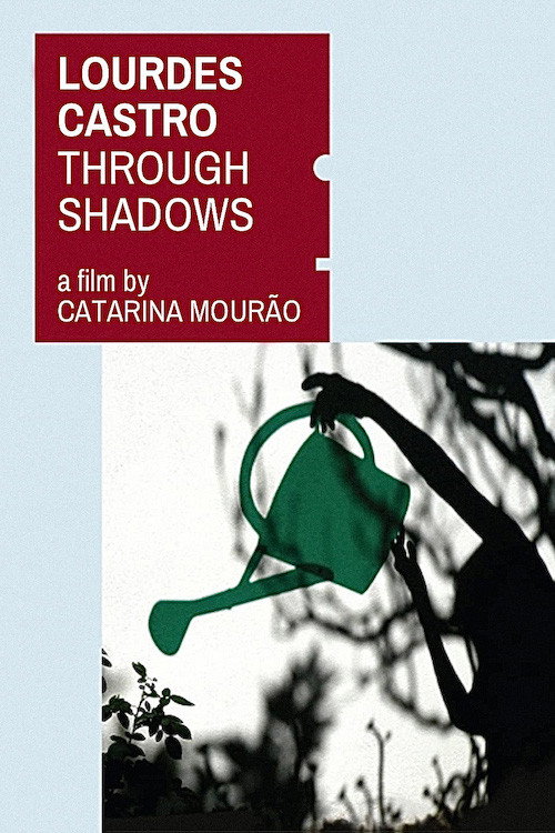 Pelas sombras