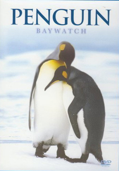 Penguin Baywatch - Sub-Antarctic Islands