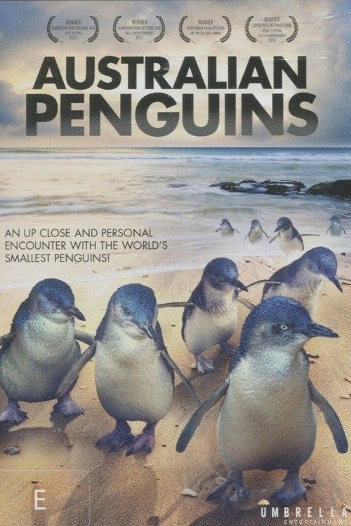 Penguin Island Western Australia