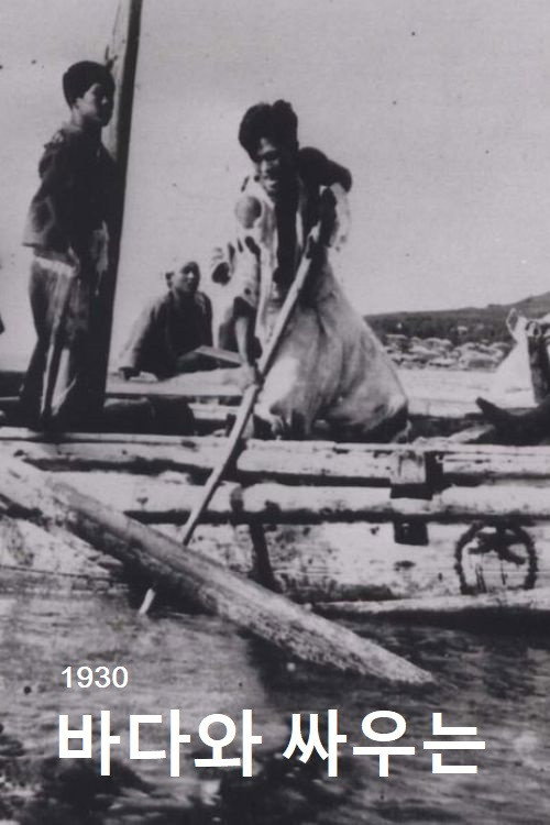 People Who Are Fighting Against the Sea