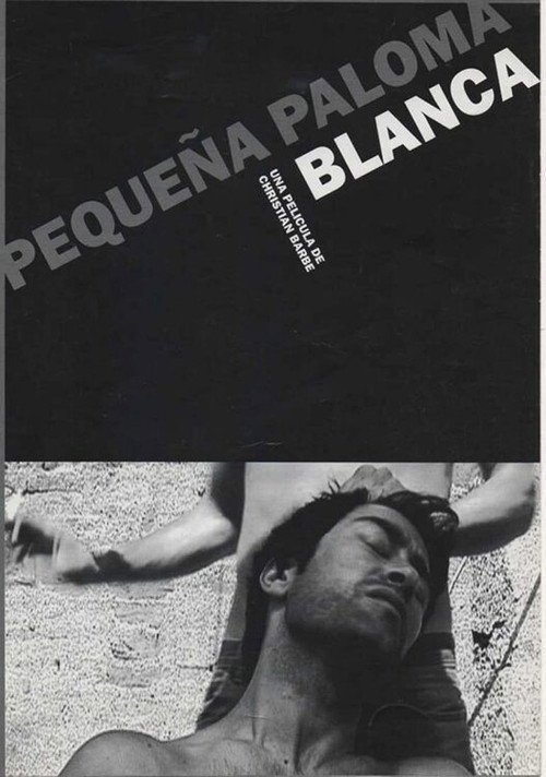 Pequeña paloma blanca