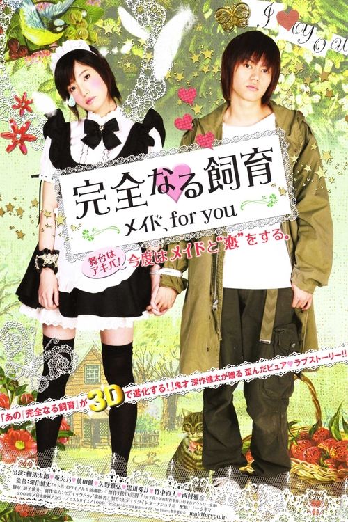 Perfect Education: Maid, for You