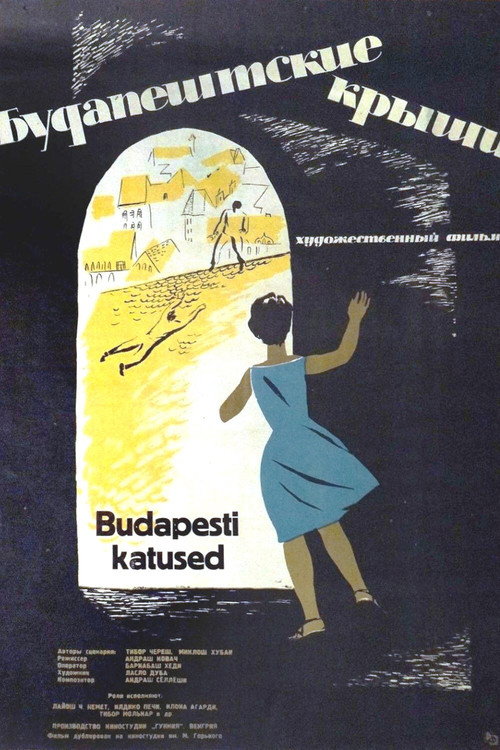 Pesti háztetök