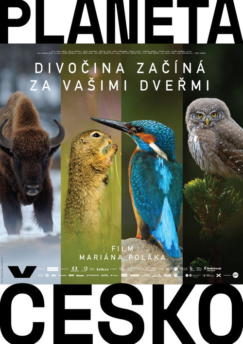 Planeta Cesko