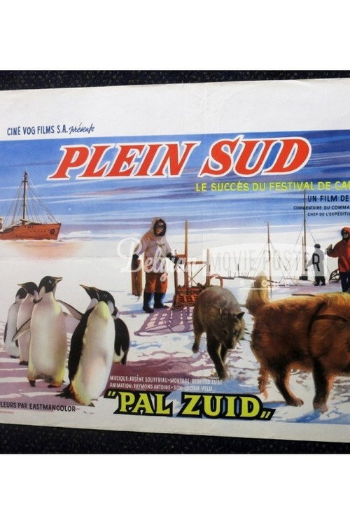 Plein sud