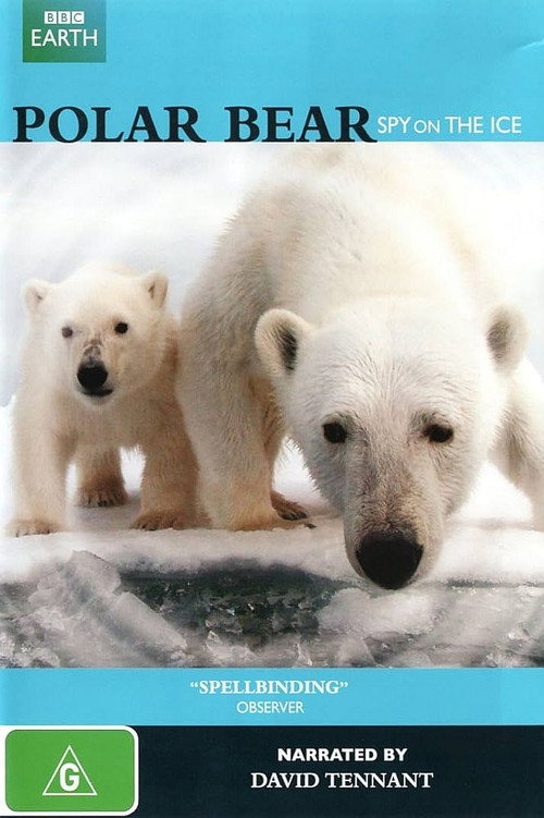 Polar Bears: Spy on the Ice