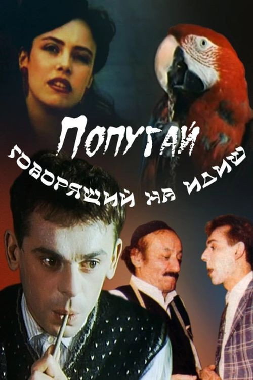 Popugay, govoryashchiy na idish