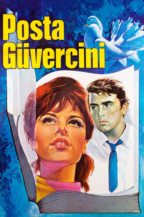 Posta güvercini