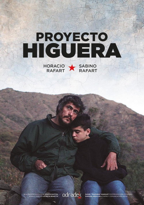Proyecto Higuera