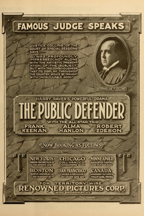 Public Defender