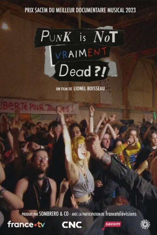 Punk is not vraiment dead?!