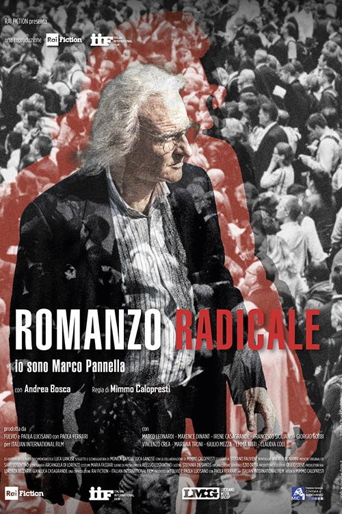 Romanzo Radicale
