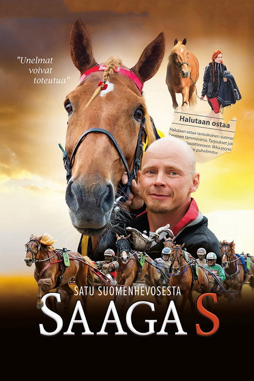 Saaga S - satu suomenhevosesta