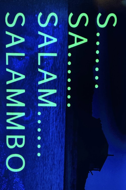 Salammbô