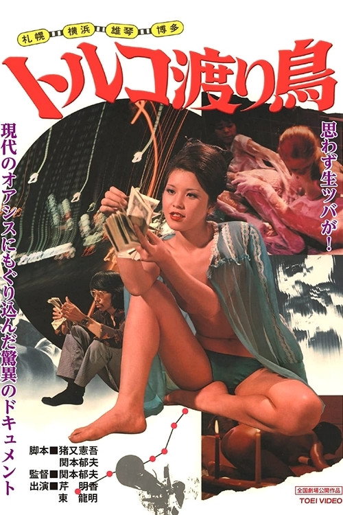 Sapporo, Yokohama, Nagoya, Ogoto, Hakata: Toruko wataridori