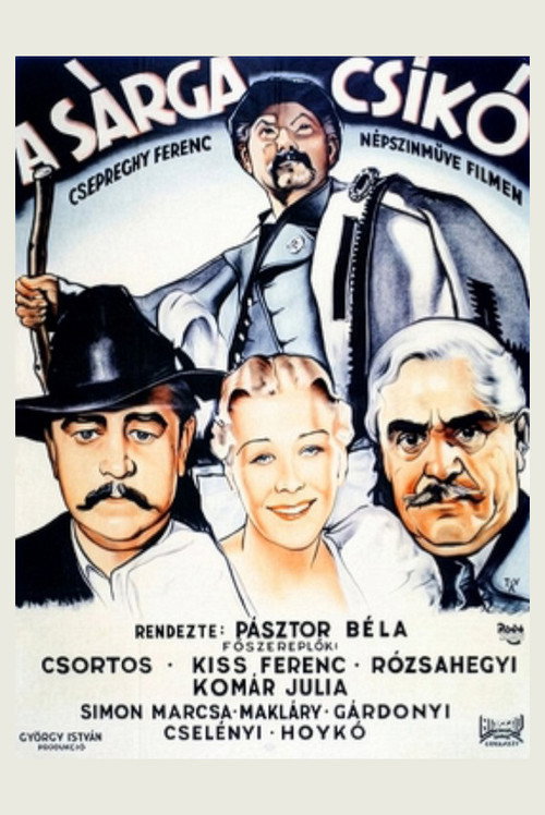 Sárga csikó