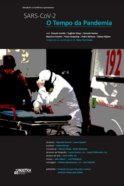 SARS-CoV-2: The Time of the Pandemic