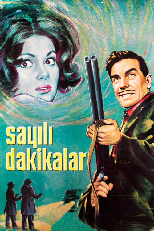 Sayili dakikalar