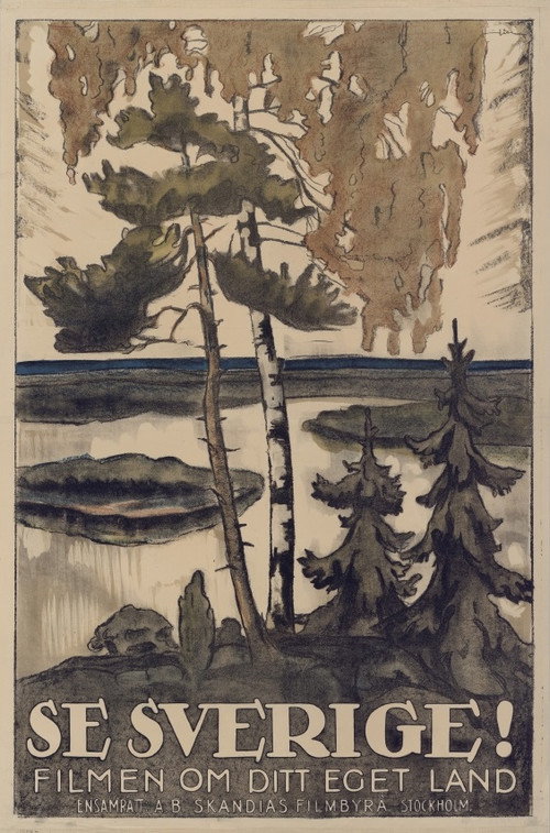 Poster for Se Sverige! : Filmen om ditt eget land