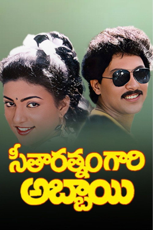 Seetharathnamgari Abbayi