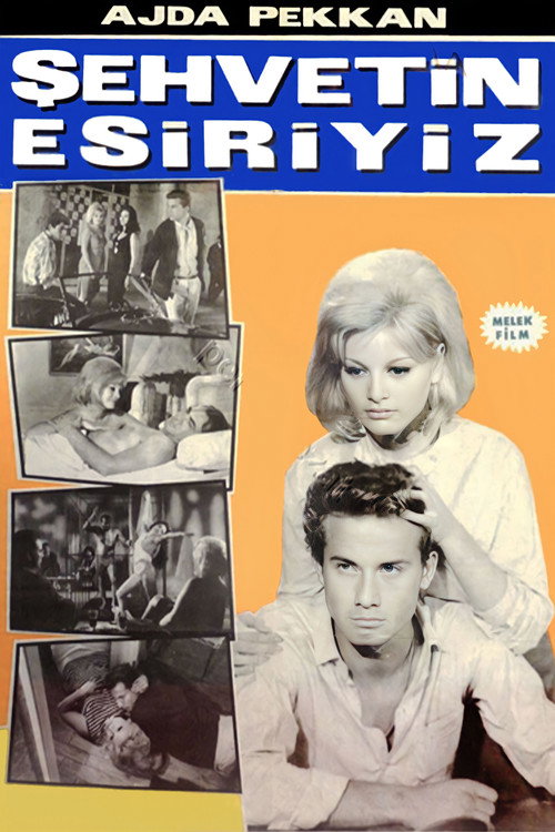 Sehvetin esiriyiz
