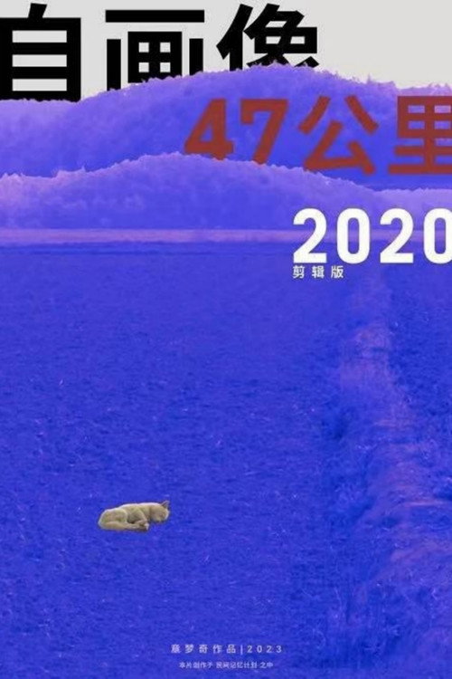 Self Portrait: 47 Km 2020