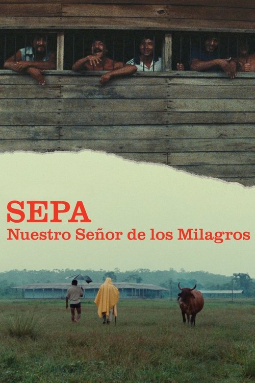 Sepa: Our Lord of the Miracles