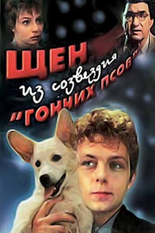 Shchen iz sozvezdiya Gonchikh psov