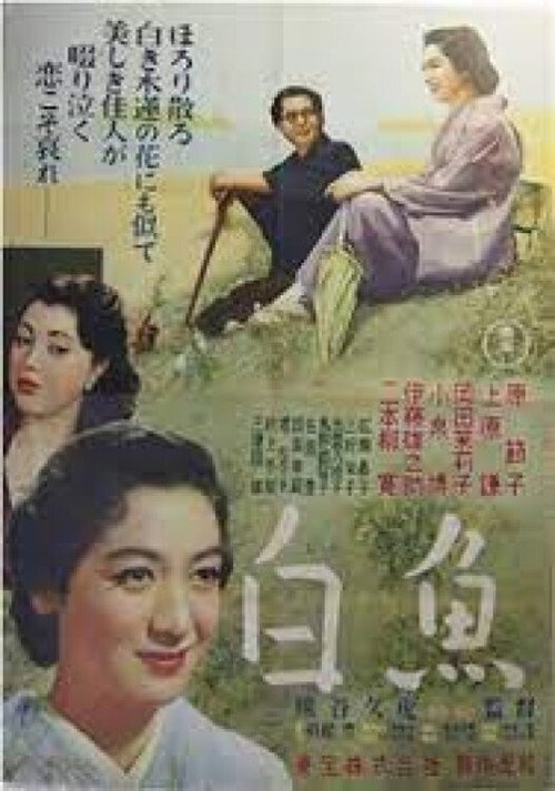 Shirauo