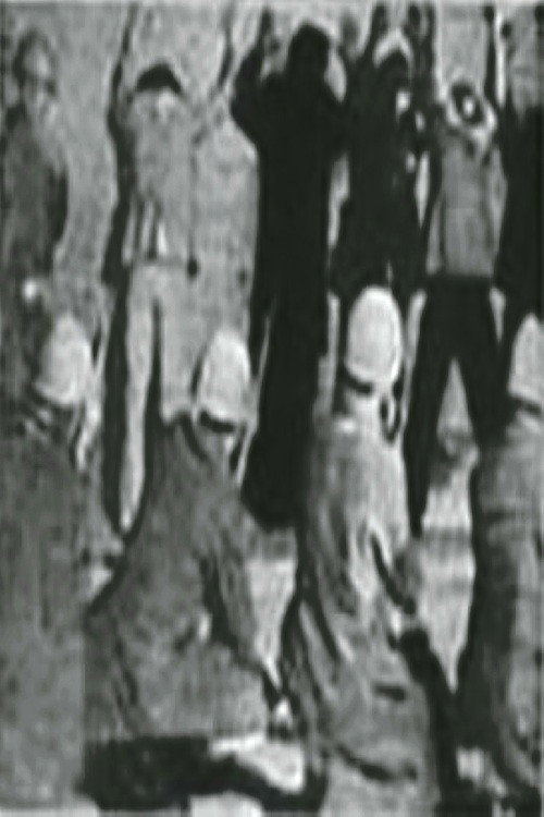 Shoja-an istade mimirand