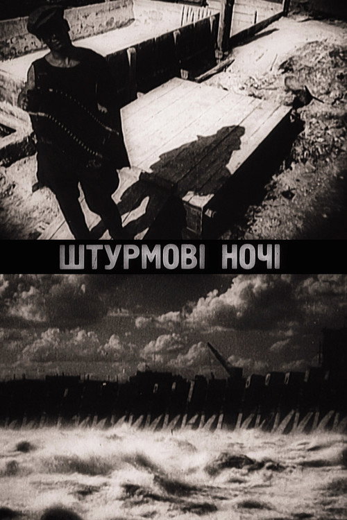 Shturmovye nochi