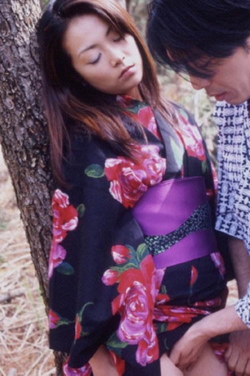 Shufu no sei: Midara na yagai etchi