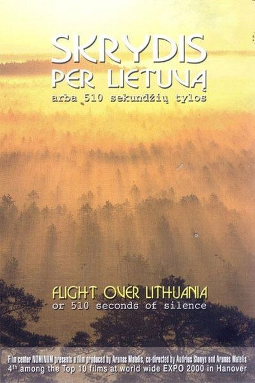 Skrydis per Lietuva arba 510 sekundziu tylos