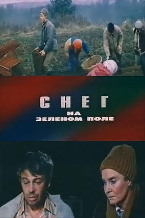 Sneg na zelyonom pole