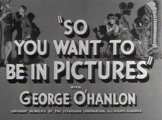 So You Want to Be in Pictures