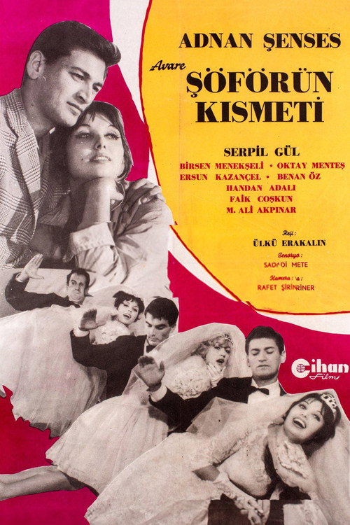 Soförün kismeti