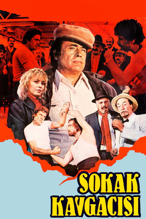 Sokak Kavgacisi