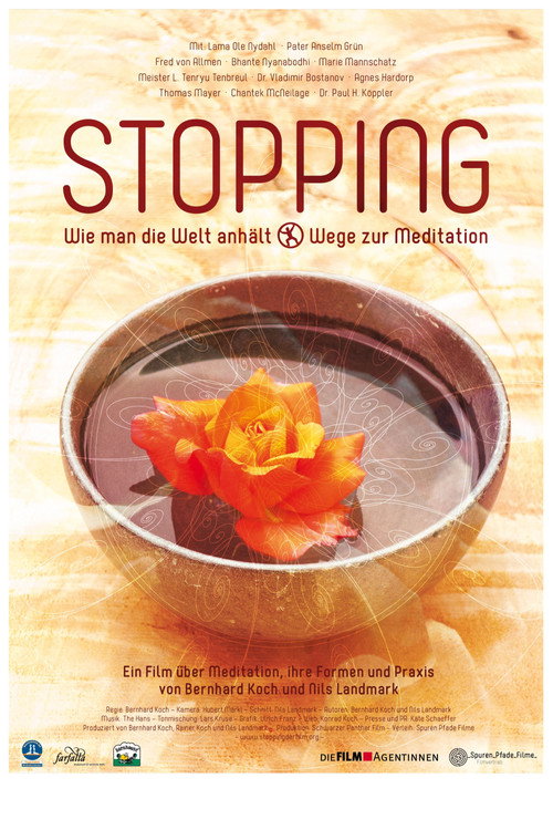Stopping