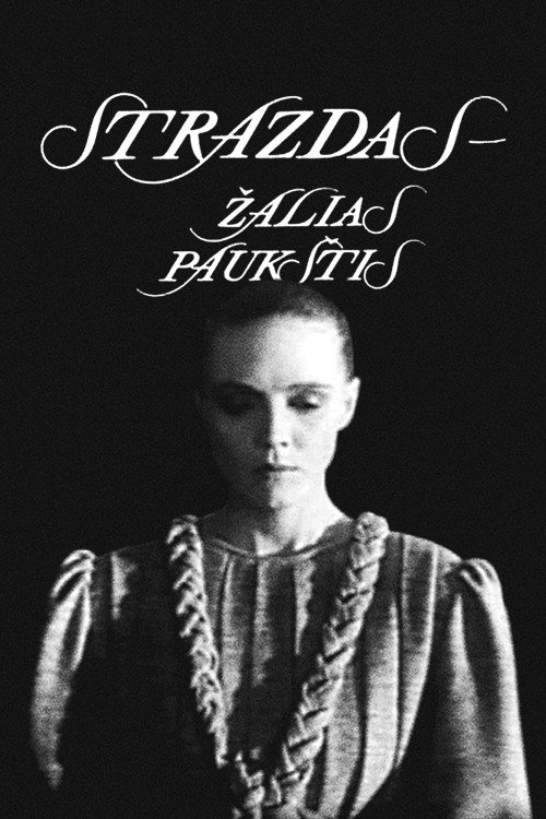 Strazdas - zalias paukstis