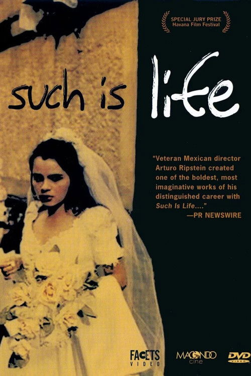 Such Is Life