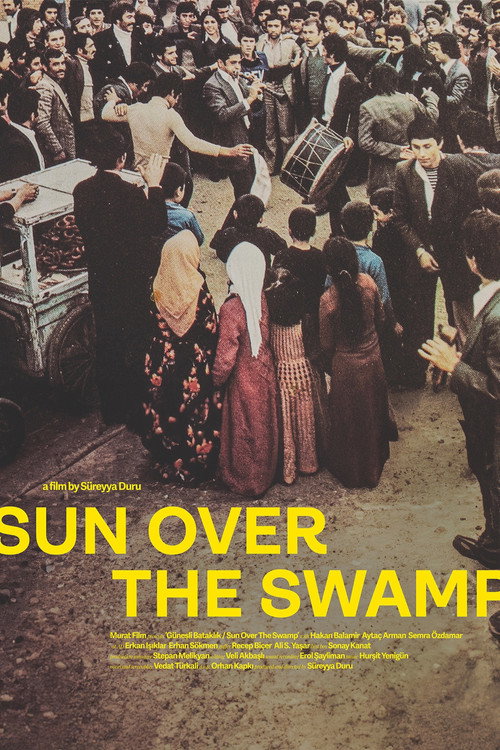 Sun Over the Swamp