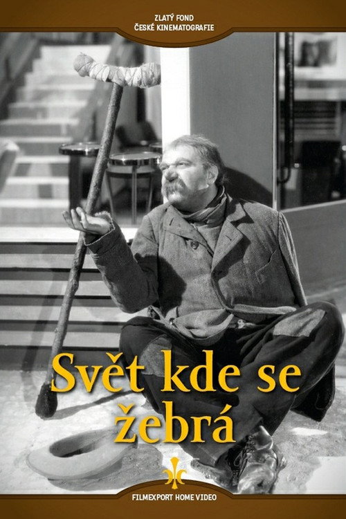 Svet kde se zebrá
