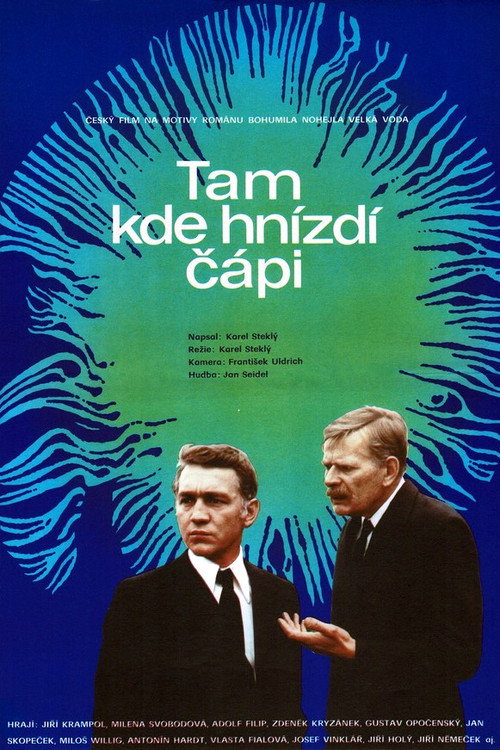 Tam, kde hnizdi cápi