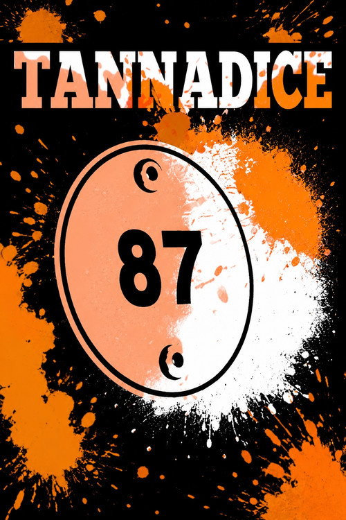 Tannadice 87